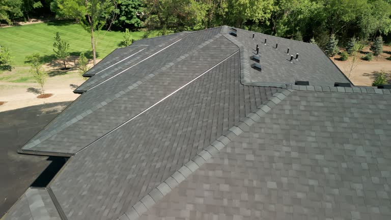 Best Roof Moss and Algae Removal  in Newton, NC